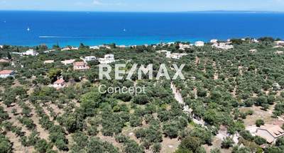 תמונת מגרש, זקינתוס למכירה (0)