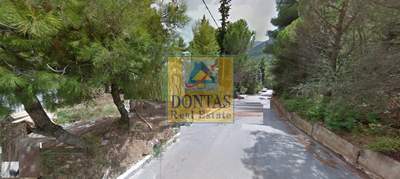 תמונת מגרש, דיוניסוס למכירה (1)