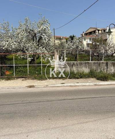 תמונת מגרש, דיוניסוס, אתונה למכירה (0)