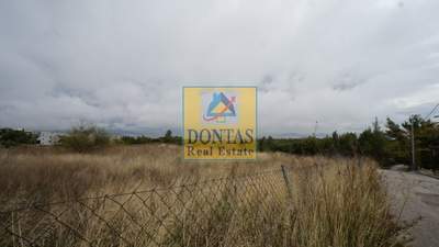 תמונת מגרש, קיפיסיה למכירה (1)