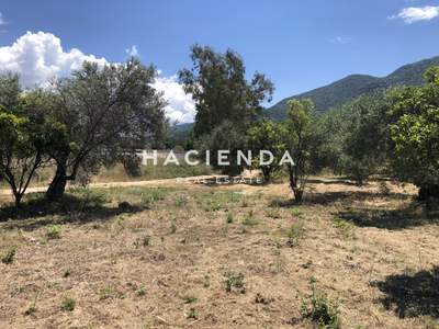 תמונת מגרש, איגומיניצה, אפירוס למכירה (0)