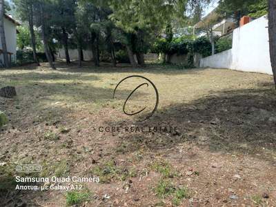 תמונת מגרש, דיוניסוס למכירה (0)