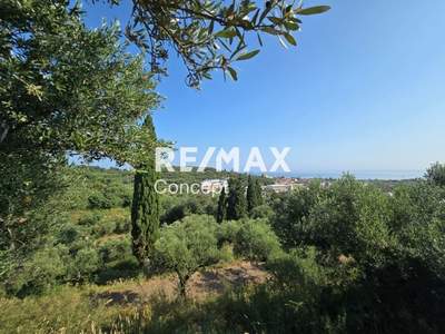 תמונת מגרש, רשות מקומית זקינתוס למכירה (1)