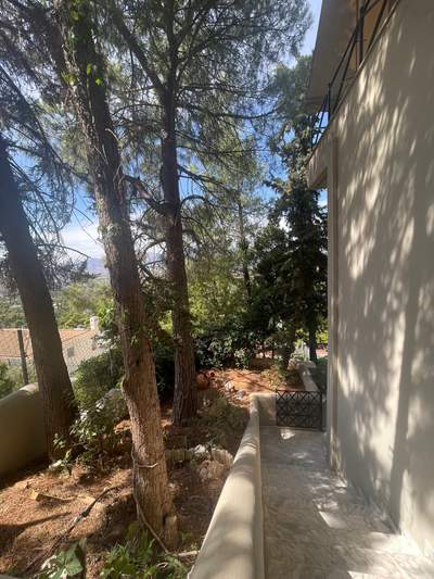 תמונת דופלקס, דיוניסוס, אתונה למכירה (1)