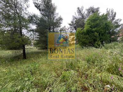 תמונת מגרש, מליסייה, אתונה למכירה (1)