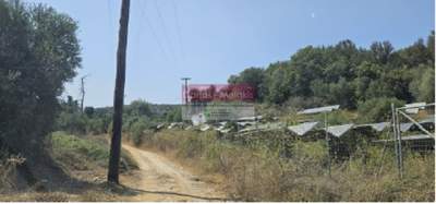 תמונת מגרש, פלטניאס, כרתים למכירה (0)