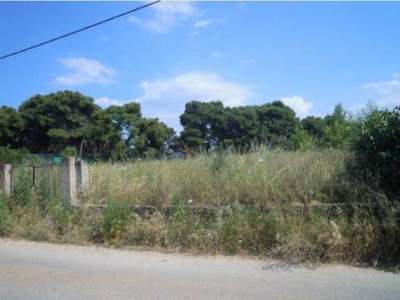 תמונת מגרש, דיוניסוס למכירה (0)