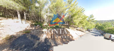 תמונת מגרש, דיוניסוס למכירה (1)