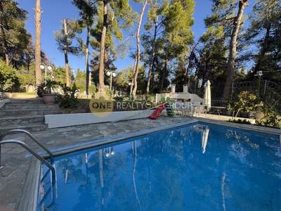 תמונת בית, דיוניסוס למכירה (1)