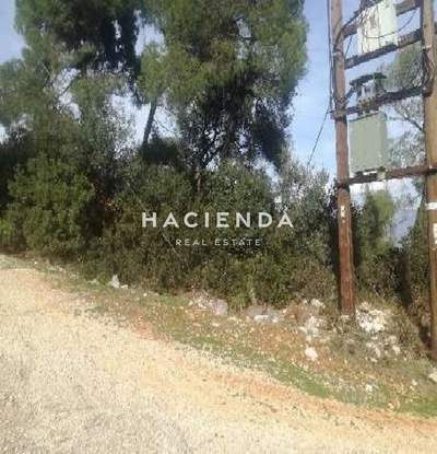 תמונת מגרש, קורינתיה למכירה (1)