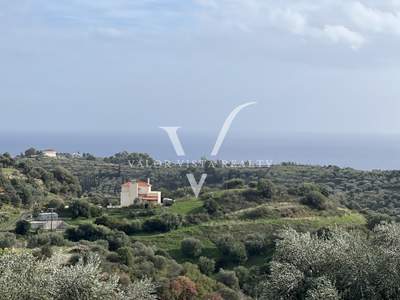 תמונת מגרש, פילוס ונסטור למכירה (1)