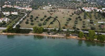 תמונת מגרש, ארטריה למכירה (0)