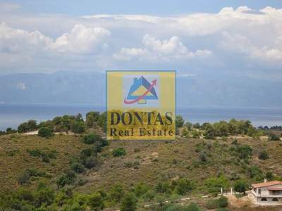 תמונת מגרש, ארמיונידה, פלופונס למכירה (0)