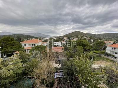 תמונת בית, פאליה פוקיאה, סרוניקוס למכירה (1)