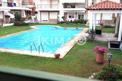 תמונת קסנדרה, כלקידיקי למכירה (1)