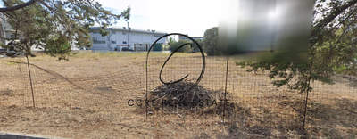 תמונת קיפיסיה למכירה (0)