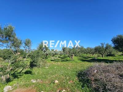 תמונת מגרש, זקינתוס למכירה (1)