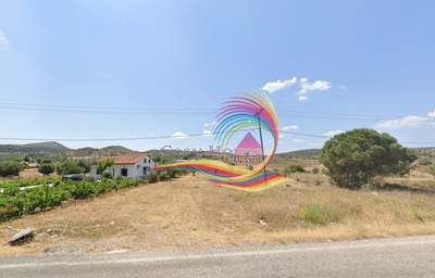 תמונת שטח חקלאי, לאבראוטיקי, אתונה למכירה (1)