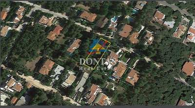 תמונת מגרש, דיוניסוס למכירה (0)