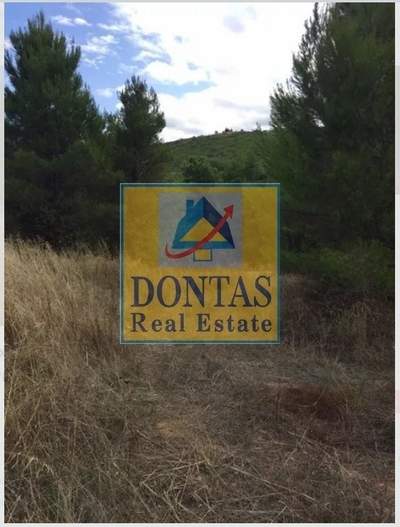 תמונת מגרש, אורופוס למכירה (1)