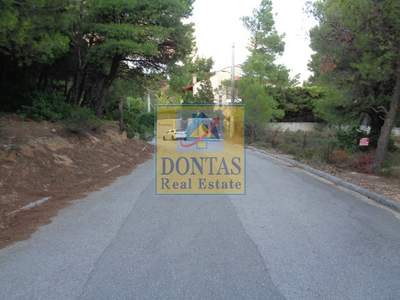 תמונת מגרש, אכרניס למכירה (1)