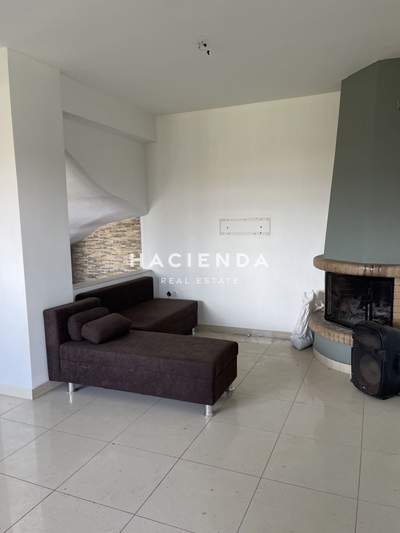 תמונת קורינתיה, פלופונס למכירה (0)