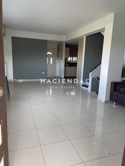 תמונת קורינתיה, פלופונס למכירה (1)