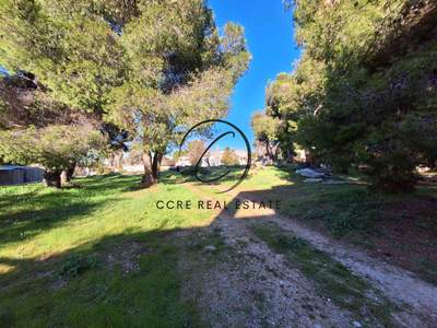 תמונת מליסייה למכירה (1)