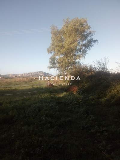 תמונת שטח חקלאי, פילוס ונסטור למכירה (0)