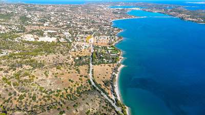 תמונת , ארמיונידה למכירה (1)