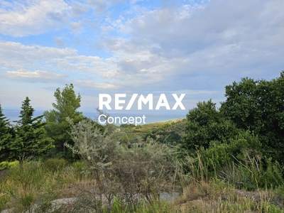 תמונת מגרש, זקינתוס למכירה (0)