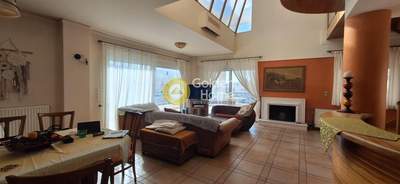 תמונת דופלקס, פאפאגו למכירה (0)