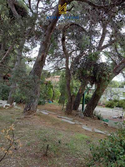 תמונת מגרש, פאנטלי, אתונה למכירה (0)