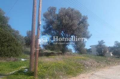 תמונת מגרש, ספטה ארטמידה, אתונה למכירה (0)