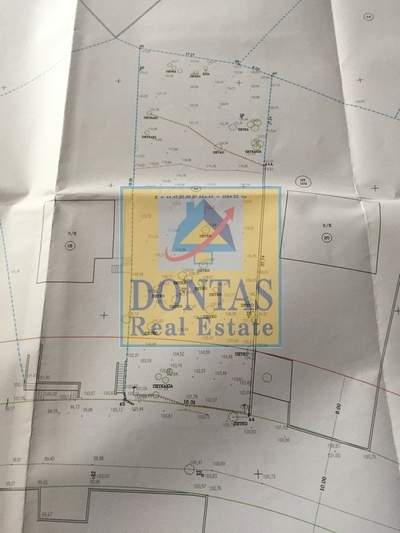 תמונת מגרש, אכרניס למכירה (1)