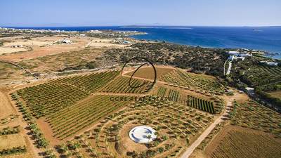 תמונת מגרש, פארוס למכירה (1)