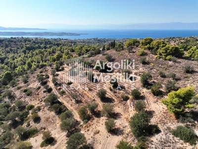 תמונת שטח חקלאי, ארמיונידה למכירה (1)