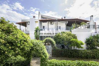 תמונת דופלקס, קסנדרה למכירה (0)