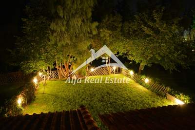 תמונת דופלקס, קסנדרה למכירה (1)