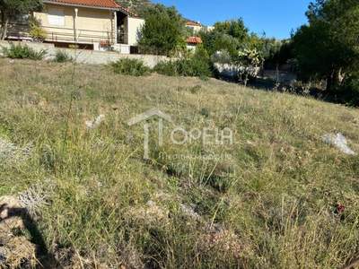 תמונת מגרש, סרוניקוס למכירה (1)