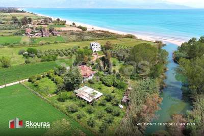 תמונת מסיני למכירה (0)