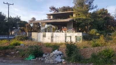 תמונת בית, סרוניקוס למכירה (1)