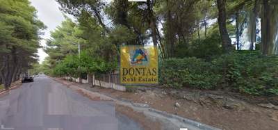 תמונת מגרש, דיוניסוס למכירה (0)