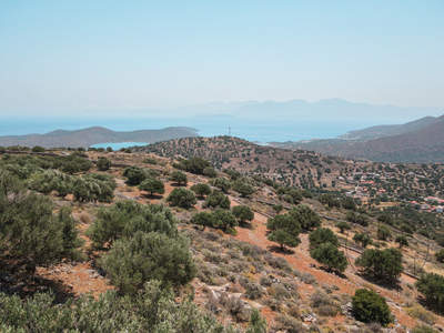 תמונת מגרש, אגיוס ניקולאוס  למכירה (1)