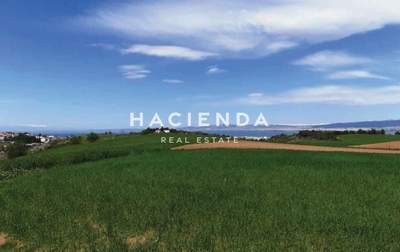 תמונת שטח חקלאי, תרמי למכירה (0)