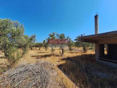 תמונת מגרש, סטברוס - חוראפקיה, חאניה, כרתים למכירה (0)