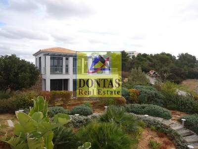 תמונת דופלקס, ארמיונידה למכירה (1)