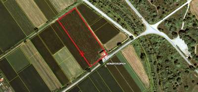 תמונת בניין, טריקלה למכירה (1)