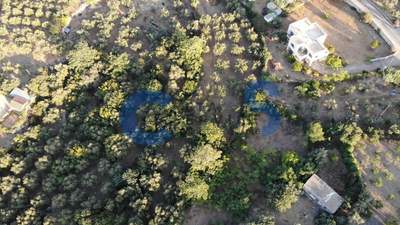 תמונת מגרש, אפוקורנס, כרתים למכירה (1)