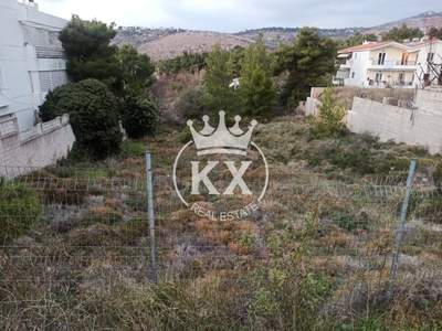 תמונת מגרש, פאנטלי למכירה (1)